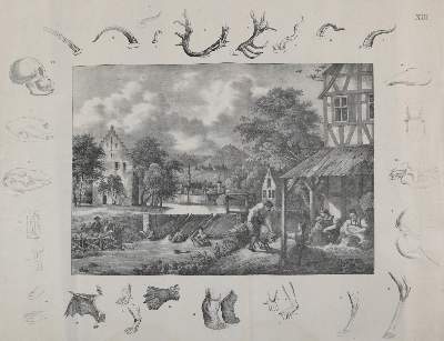 Bild Nr.1: 140-3373 Landwirtschaft.: (Varia, Anschauungsbilder)