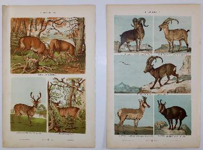 Bild Nr.8: 140-3374 Arts aus moyen age, Les.: (Varia)