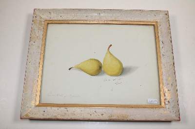 Bild Nr.216: 140-3403 Blaschek,Franz. (1787-1868).: (Varia, Botanik)