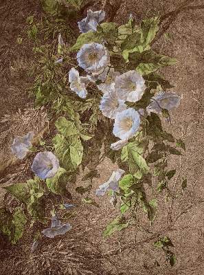 Bild Nr.10: 140-3404 Blumen.: (Varia, Botanik)
