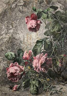 Bild Nr.6: 140-3404 Blumen.: (Varia, Botanik)