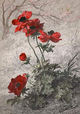 Bild Nr.7: 140-3404 Blumen.: (Varia, Botanik)