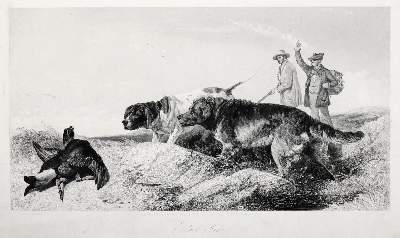 Bild Nr.4: 140-3430 Sammlung: (Varia, Jagd)