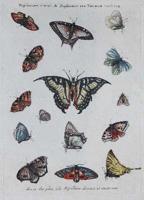 Bild Nr.2: 140-3446 Konvolut: (Varia)