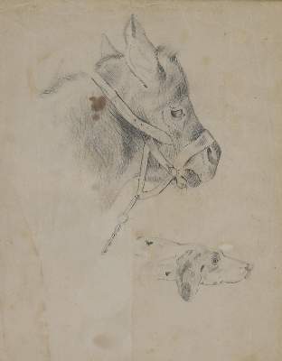 Bild Nr.2: 140-3486 Tiere.: (Varia, Zoologie)