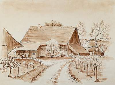 Bild Nr.2: 140-3508 Bodenseeansichten.: (Deutschland)