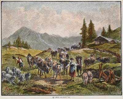 Bild Nr.5: 140-3703 Konvolut: (Ausland, Österreich)