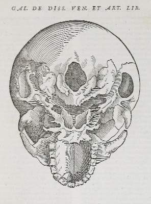 Bild Nr.2: 140-392 Lacuna,A.: (Alte Drucke, Handschriften und Theologie)