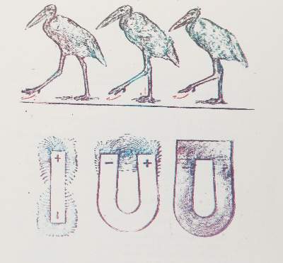 Bild Nr.1: 140-3990 Ernst, Max: (Künstlergraphik)