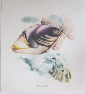 Bild Nr.14: 140-4044 Graphiksammlung.: (Künstlergraphik)