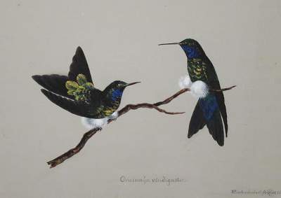 Bild Nr.1: 140-4068 Hartmann, Wilhelm: (Künstlergraphik)