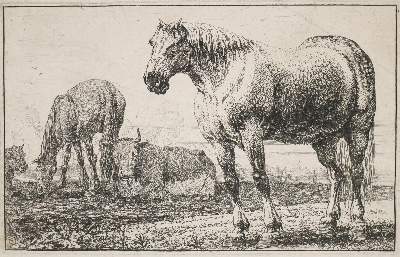 Bild Nr.1: 140-4072 Hecke, Jan Frans van den: (Künstlergraphik)