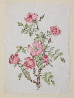 Bild Nr.1: 140-4083 Henneberg, Paula: (Künstlergraphik)