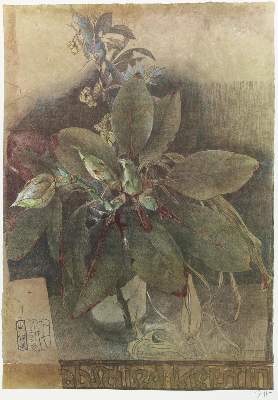 Bild Nr.2: 140-4144 Janssen, Horst: (Künstlergraphik)