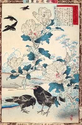 Bild Nr.11: 140-4147 Barei, Kono: (Künstlergraphik, Japan)