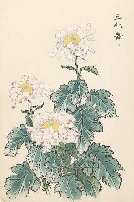Bild Nr.2: 140-4158 Keika, Hasegawa: (Künstlergraphik, Japan)