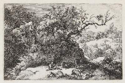 Bild Nr.1: 140-4230 Kobell, Ferdinand: (Künstlergraphik)