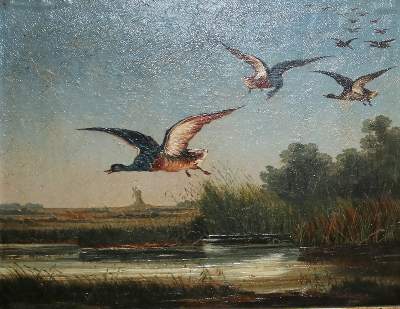 Bild Nr.2: 140-4309 Landschaftsbilder.: (Künstlergraphik)