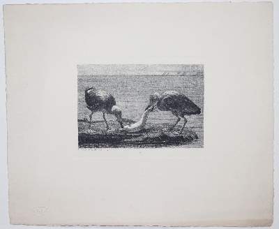 Bild Nr.229: 140-4568 Sammlung: (Künstlergraphik)