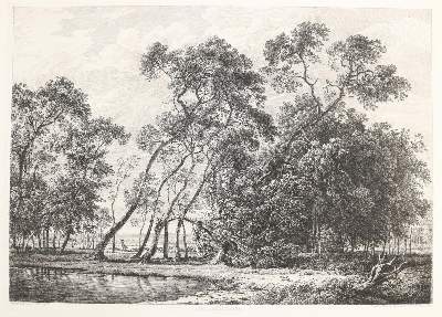 Bild Nr.3: 140-4575 Sammlung: (Künstlergraphik)