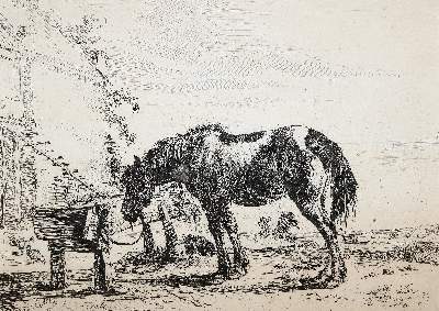 Bild Nr.2: 140-4582 Sammlung: (Künstlergraphik)