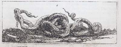 Bild Nr.3: 140-685 Wagenseil,J.C.: (Alte Drucke, Handschriften und Theologie)
