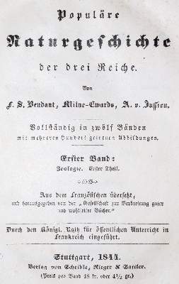Bild Nr.1: 140-843 Konvolut: (Varia)