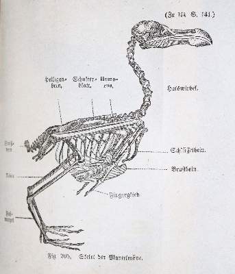 Bild Nr.3: 140-843 Konvolut: (Varia)