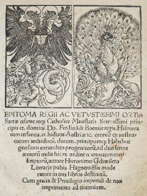 Große Abbildung Nr.1: 141-107 Gebwiler,H.: (Alte Drucke, Handschriften und Theologie)