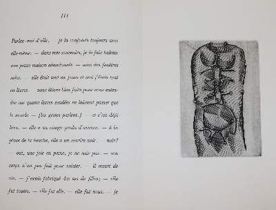 Große Abbildung Nr.3: 141-1243 Dotremont,C.: (Literatur und illustrierte Bücher 20.Jahrhundert - Alte Literatur in modernen Ausgaben)