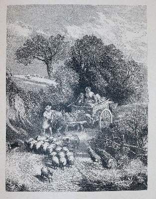 Große Abbildung Nr.6: 141-1289 Foster,B.: (Literatur und illustrierte Bücher 20.Jahrhundert - Alte Literatur in modernen Ausgaben)