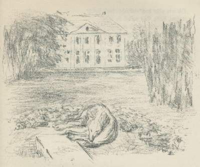 Große Abbildung Nr.3: 141-1403 Fontane,T.: (Liebermann)