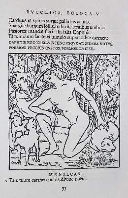 Große Abbildung Nr.2: 141-1581 Vergilius Maro,P.: (Literatur und illustrierte Bücher 20.Jahrhundert - Alte Literatur in modernen Ausgaben)