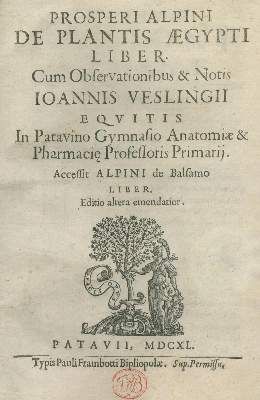Große Abbildung Nr.1: 141-1609 Alpini,P.: (Botanik, Ägypten)