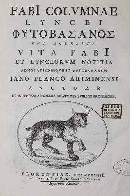 Große Abbildung Nr.2: 141-1613 Colonna,F.: (Botanik)