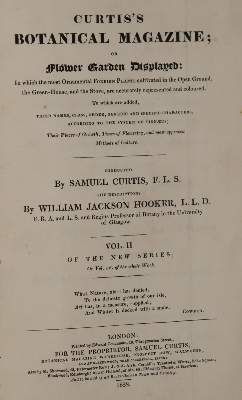 Große Abbildung Nr.1: 141-1615 Curtis,S.: (Botanik)