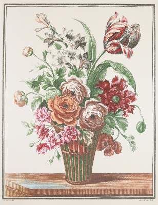 Große Abbildung Nr.66: 141-1644 Tulpen.: (Botanik)
