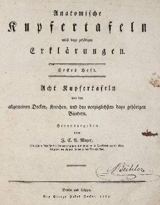 Große Abbildung Nr.2: 141-1652 Mayer,J.C.A.: (Medizin, Anatomie)