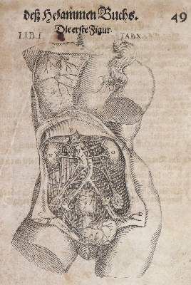 Große Abbildung Nr.2: 141-1673 Bourgeois,L.: (Medizin, Gynäkologie)
