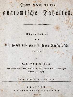 Große Abbildung Nr.1: 141-1682 Kulmus,J.A.: (Medizin)