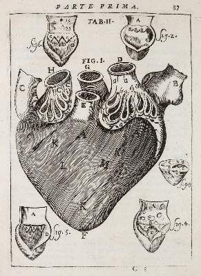 Große Abbildung Nr.2: 141-1694 Pascoli,A.: (Medizin)