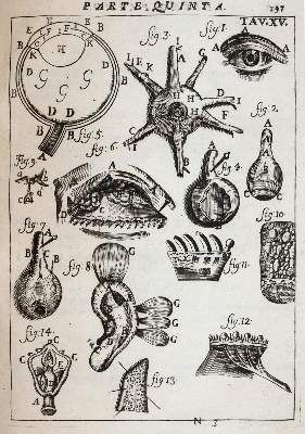 Große Abbildung Nr.3: 141-1694 Pascoli,A.: (Medizin)