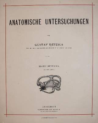 Große Abbildung Nr.1: 141-1703 Retzius,G.: (Medizin)