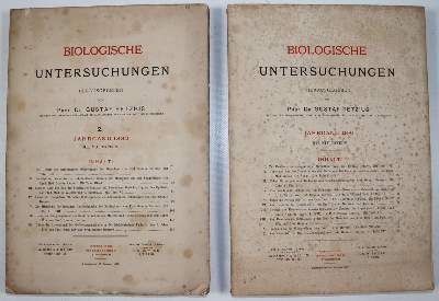 Große Abbildung Nr.5: 141-1703 Retzius,G.: (Medizin)