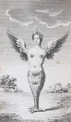 Große Abbildung Nr.3: 141-1709 Sharp,S.: (Medizin)