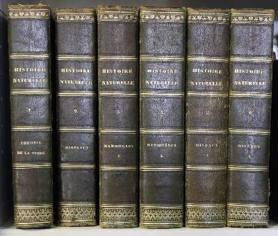 Große Abbildung Nr.6: 141-1719 Buffon,G.L.L.: (Zoologie)
