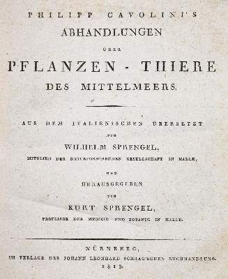 Große Abbildung Nr.1: 141-1721 Cavolini,F.: (Zoologie)