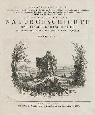 Große Abbildung Nr.7: 141-1724 Bloch,M.E.: (Zoologie, Fische)