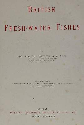 Große Abbildung Nr.3: 141-1725 Houghton,W.: (Zoologie, Fische)