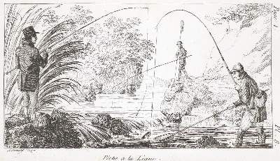 Große Abbildung Nr.1: 141-1726 Kresz,A.: (Zoologie, Fische)